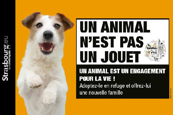 Campagne : un animal n'est pas un jouet