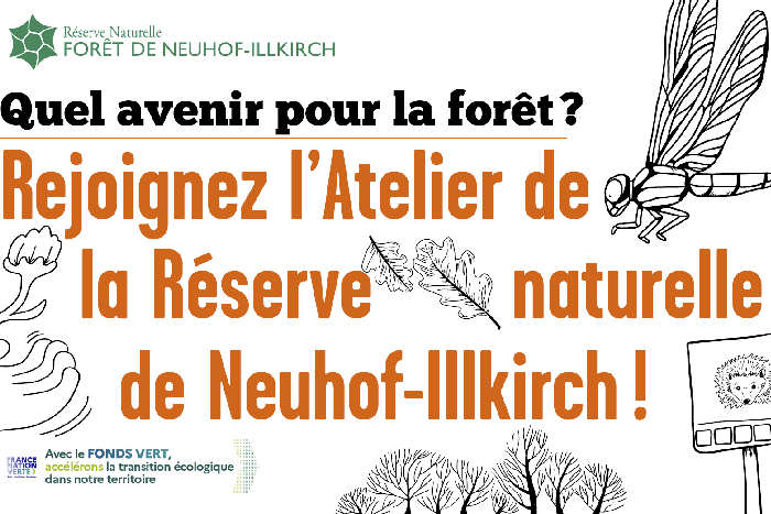 atelier de la réserve naturelle Neuhof-Illkirch