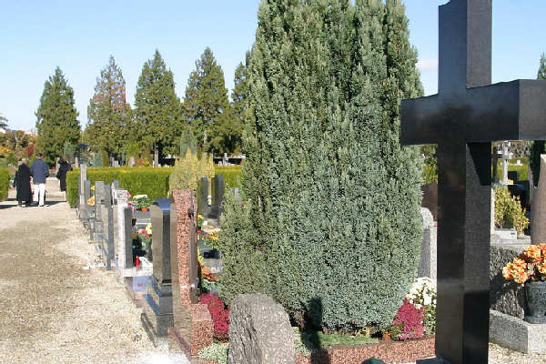 cimetière