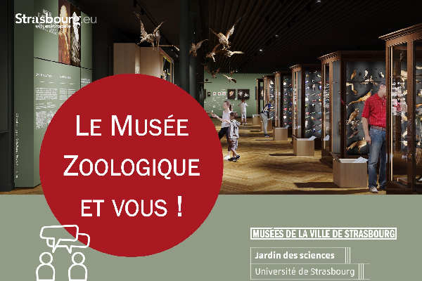 musée zoologique - démarche participative