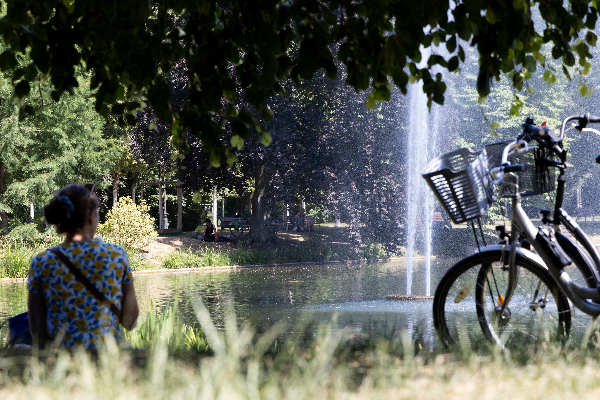 parc de l'Orangerie